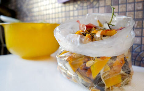 Kitchen Composting Image